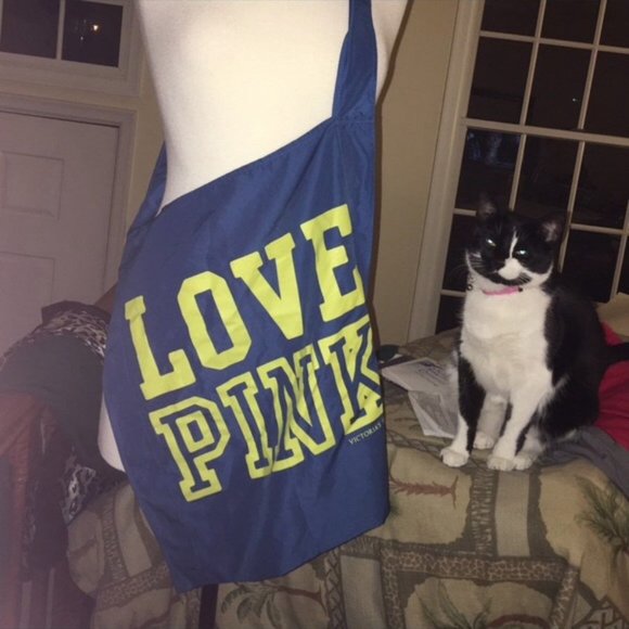 Victoria's Secret PINK Blue Crossbody Tote Bag Dog NWT - Picture 1 of 3